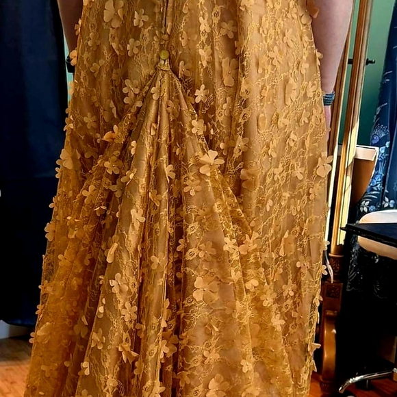 Regency Dress - Picture 4 of 6